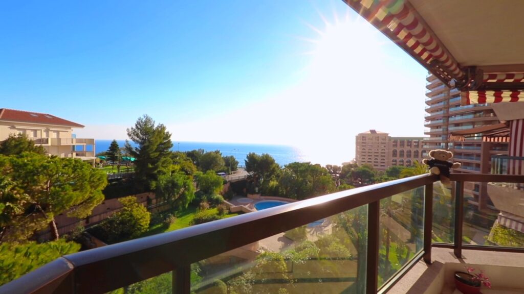 Monaco Sea View Property