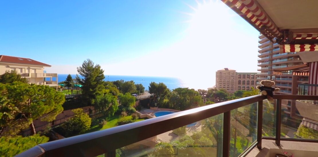Monaco Sea View Property